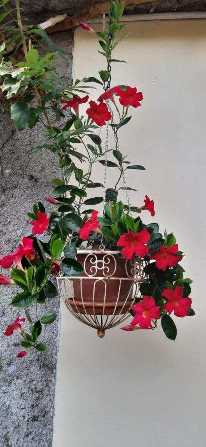 Il Giardino Del Gallo Cherasco Exterior foto