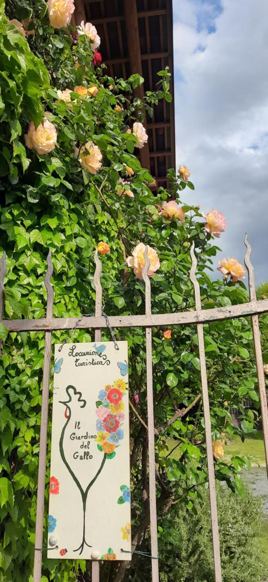 Il Giardino Del Gallo Cherasco Exterior foto